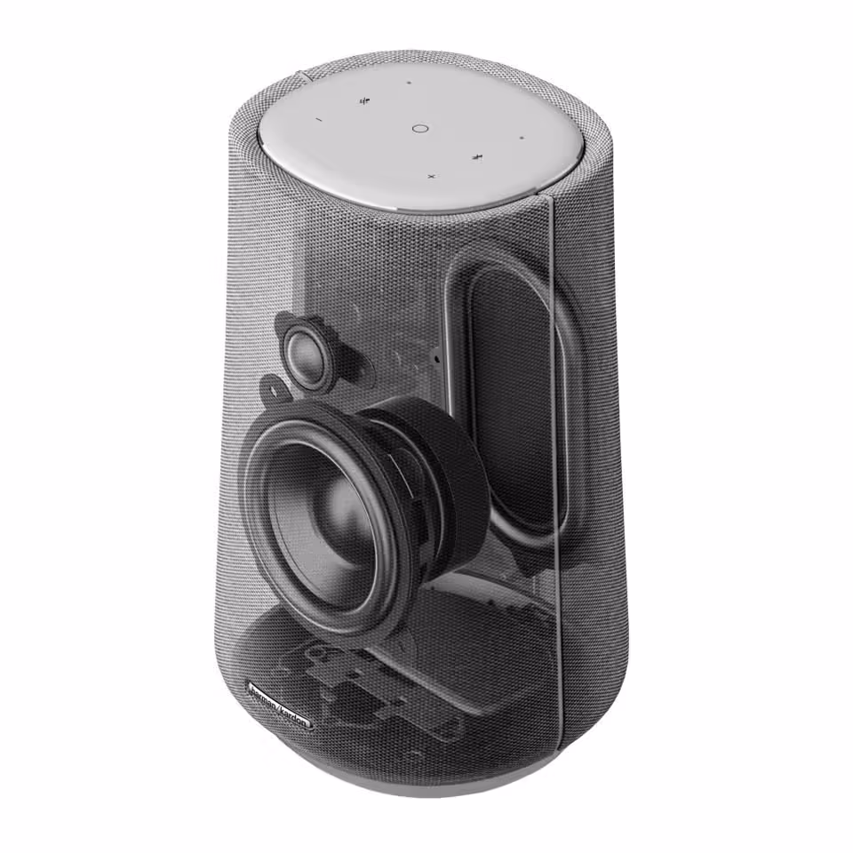 Loa Bluetooth Harman Kardon Citation 100 - Ảnh 4