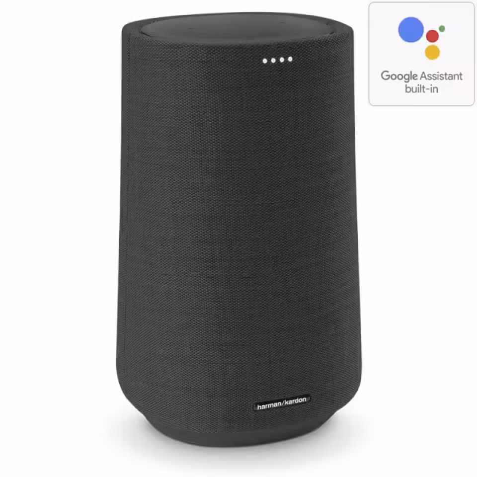 Loa Bluetooth Harman Kardon Citation 100 - Ảnh 3