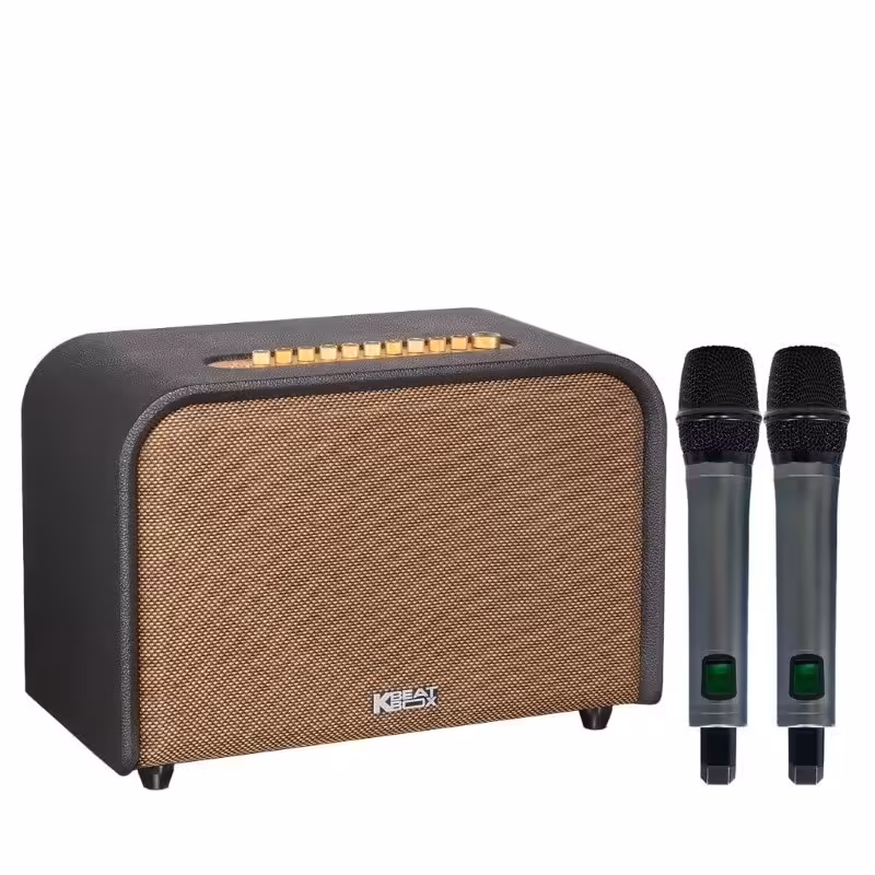 Loa Acnos Acoustic 3 V26