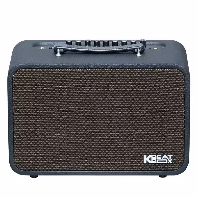 Loa Acnos CS160Pro