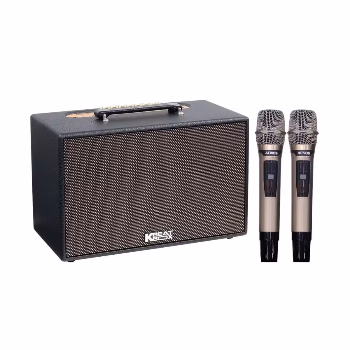 Loa Acnos CS201Plus