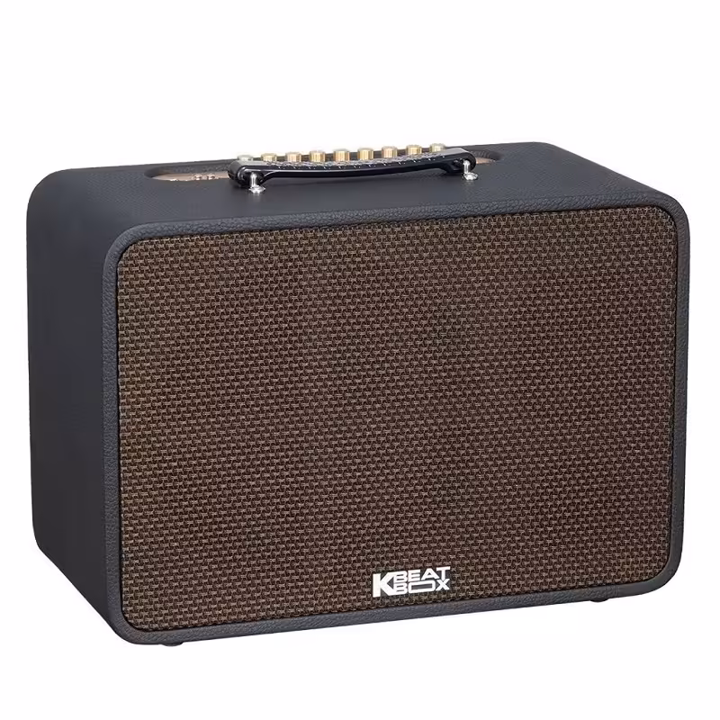 Loa Acnos CS250Pro